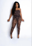 Leopard Cita Set